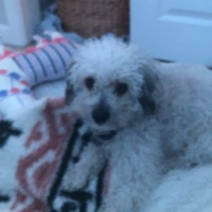 Meet your Posher, Mariam